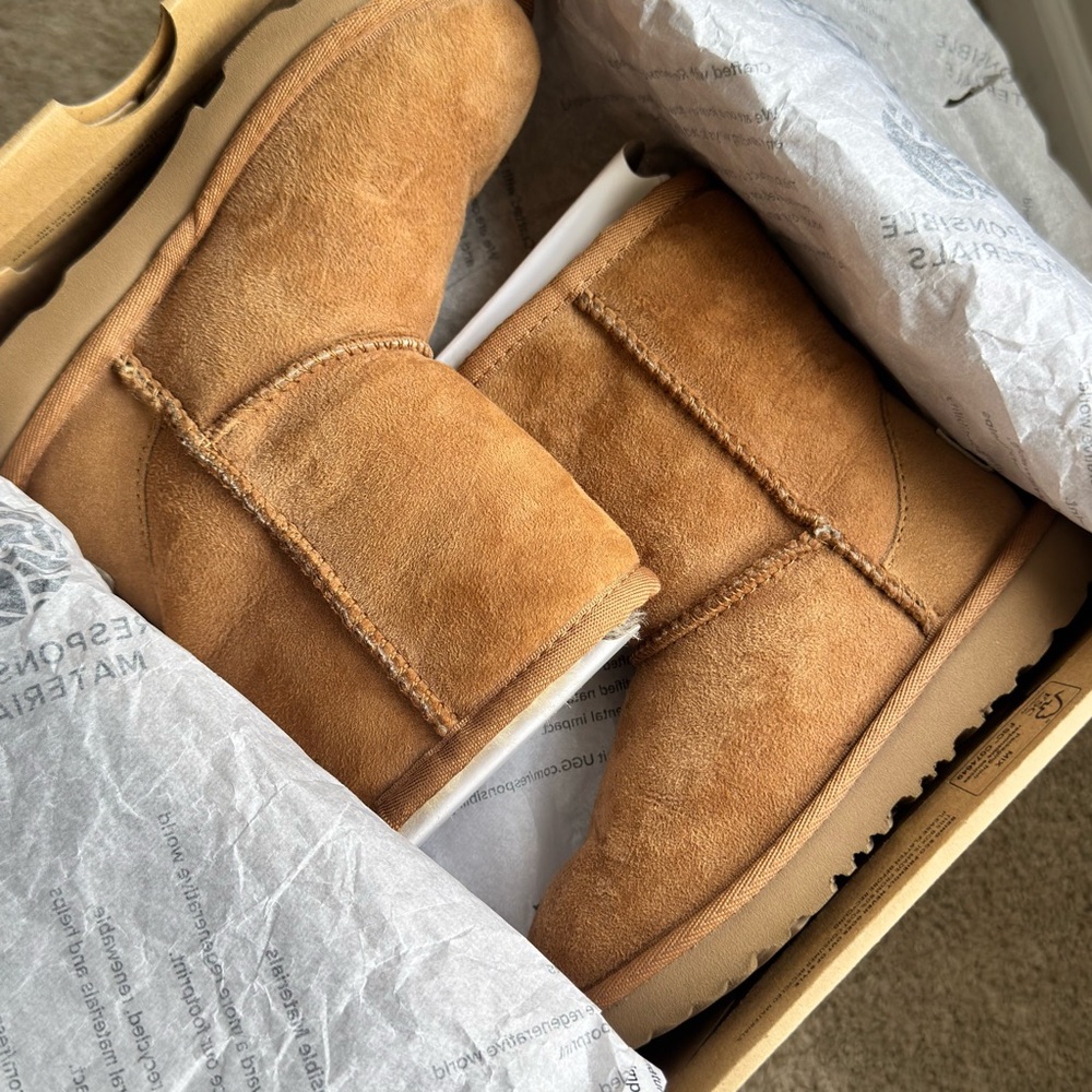 UGG Chestnut Suede Boots
